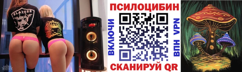 Галлюциногенные грибы Cubensis  ссылка на мегу как войти  Нязепетровск  купить наркотики сайты 